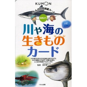 ﻿Kawa Ya Umi no Ikimono Kumon Flash Cards - Edição Japonesa 川や海の生きものカード - くもんの自然図鑑カード
